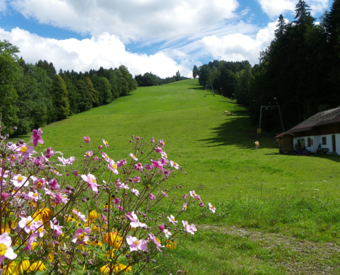 Der Reiserhang im Sommer